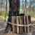 How Forests Think - Image 13