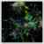 Terra Ultima - Image 2